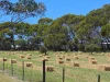 65 Acacia Drive, Kingscote, SA 5223-Image