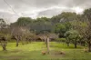 65 Blackbutt Close, Yallingup Siding, WA 6282-Image