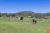 65 Boatfalls Drive, Clarence Town, NSW 2321-Image