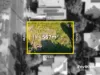 65 Boundary Road, Camp Hill QLD 4152-Image