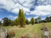 65 Bowman Road, Blackbutt North, Qld 4314-Image