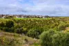 65 Brooklyn Drive, Hallett Cove, SA 5158-Image
