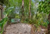 65 Cassandra Street, Chapel Hill, Qld 4069-Image