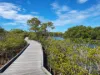 65 Chaseley Street, Nudgee Beach, Qld 4014-Image