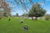 65 Clonbinane Road, Clonbinane, Vic 3658-Image