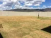 65 Denman Ave, Kootingal, NSW 2352-Image