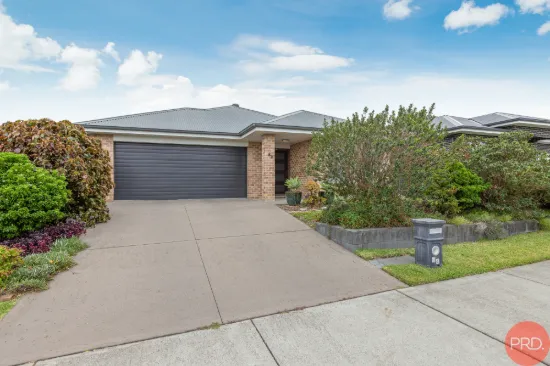 65 Dragonfly Drive, Chisholm, NSW 2322