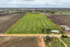 65 Forward Avenue, Loveday, SA 5345