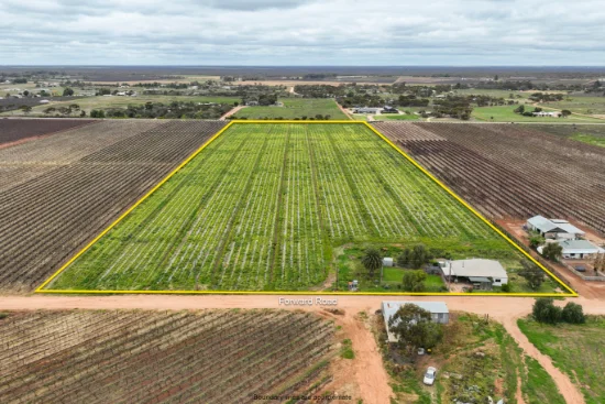 65 Forward Avenue, Loveday, SA 5345