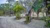 65 Josefski Road, Agnes Water QLD 4677-Image