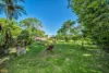65 Laurie Street, Hudson, Qld 4860-Image