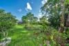 65 Laurie Street, Hudson, Qld 4860-Image