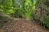 65 Meuanbah Road, Bombeeta, Qld 4871-Image