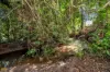 65 Meuanbah Road, Bombeeta, Qld 4871-Image