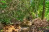 65 Meuanbah Road, Bombeeta, Qld 4871-Image