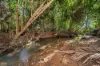 65 Meuanbah Road, Bombeeta, Qld 4871-Image