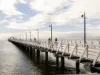 65 Muller Road, Boondall, Qld 4034-Image