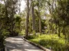 65 Muller Road, Boondall, Qld 4034-Image