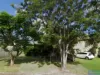 65 Newmarket Street, Hendra, Qld 4011-Image