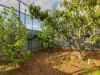 65 Nilpena Avenue, Morphettville, SA 5043-Image