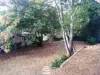 65 Pine Street, North Ipswich, Qld 4305-Image