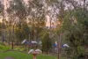 65 Pinnacle Drive, Wongawallan, Qld 4210-Image