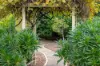 65 Plunkett Terrace, Millicent, SA 5280-Image