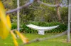 65 Plunkett Terrace, Millicent, SA 5280-Image