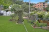 65 Recreation Street, Tweed Heads, NSW 2485-Image