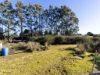 65 Ritchie Street, Waratah, Tas 7321-Image