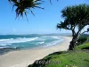 65 Saltwater Crescent, Corindi Beach, NSW 2456-Image