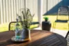 65 Songlark Crescent, Thurgoona, NSW 2640-Image