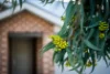 65 Songlark Crescent, Thurgoona, NSW 2640-Image