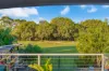 65 Thomas Street, Birkdale, Qld 4159-Image