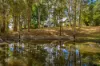 65 Tompkins Road, Veteran, Qld 4570
