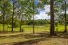 65 Tompkins Road, Veteran, Qld 4570-Image
