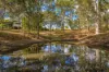 65 Tompkins Road, Veteran, Qld 4570-Image
