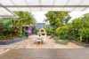 65 Upward Street, Leichhardt, NSW 2040-Image