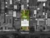 65 Warwick St, Enfield, SA 5085-Image