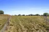 65 Weir Road, Exford, Vic 3338-Image