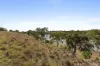 65 Weir Road, Exford, Vic 3338-Image