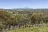 650 Calder Alternative Highway, Lockwood South, Vic 3551-Image