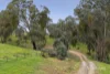 650 Calder Alternative Highway, Lockwood South, Vic 3551-Image