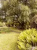 651 Golconda Road, Lebrina, Tas 7254-Image