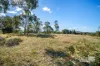 651 Golconda Road, Lebrina, Tas 7254-Image