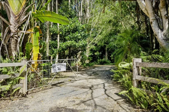 652, Clothiers Creek NSW 2484-Image