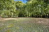 652, Clothiers Creek NSW 2484-Image