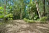 652, Clothiers Creek NSW 2484-Image