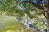 652, Clothiers Creek NSW 2484-Image