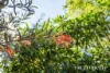 653 Huon Road, Fern Tree, Tas 7054-Image